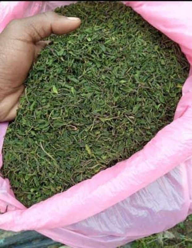 Thé Vert from Kenya